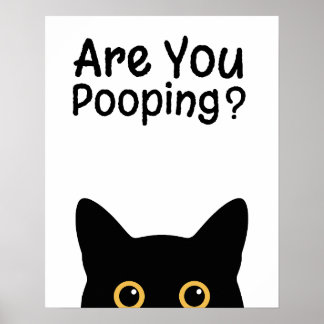 Poster Funny Black Cat Sign - Are You Pooping?