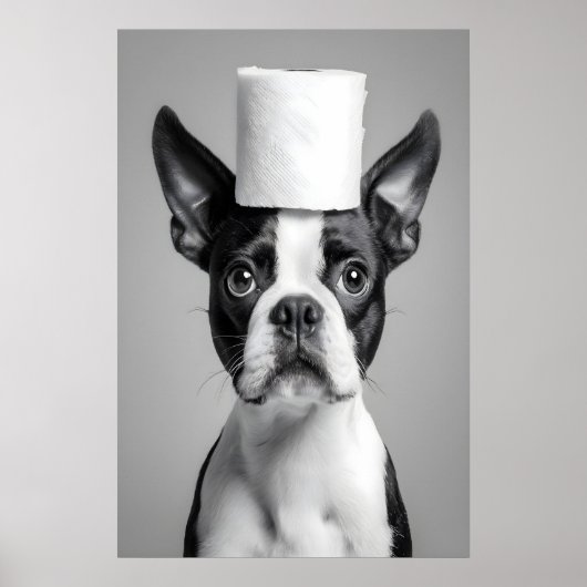 Poster Funny Boston Terrier Bathroom Print, Toilet Paper (Devant)
