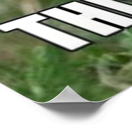 Poster Funny Bunny (Coin)