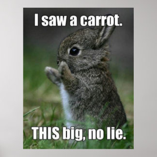 Poster Funny Bunny