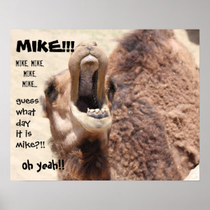 Poster Funny Camel "bosse day" Devinez quel jour c'est MI