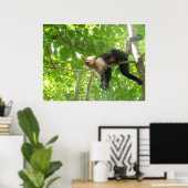 Poster Funny Capuchin Monkey In A Tree (Bureau à domicile)