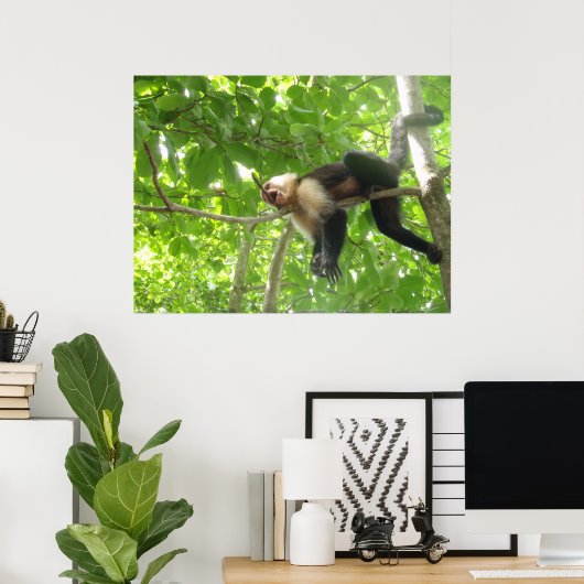 Poster Funny Capuchin Monkey In A Tree (Bureau à domicile)