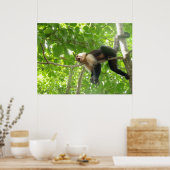 Poster Funny Capuchin Monkey In A Tree (Cuisine)