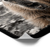 Poster Funny Capybara Halloween Costume (Coin)