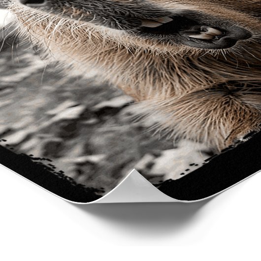 Poster Funny Capybara Halloween Costume (Coin)