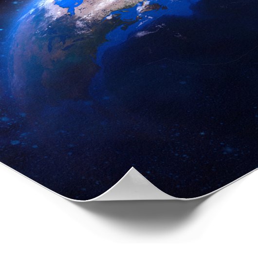 Poster Funny Cat: Evolution (Coin)