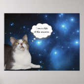 Poster Funny Cat Star Gazer (Devant)