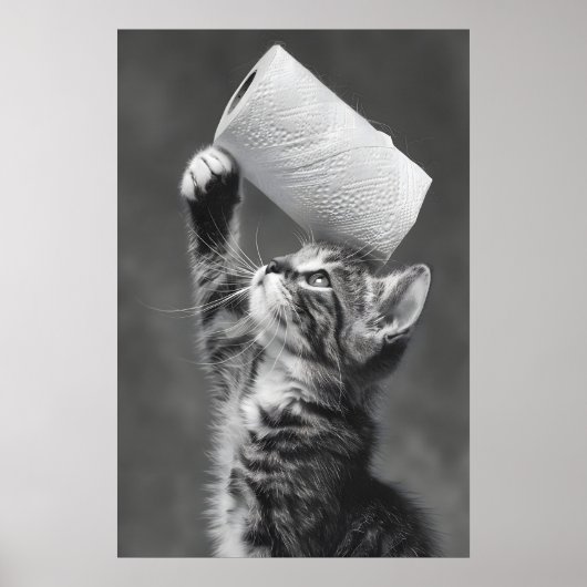 Poster Funny Cat Toilet Paper Roll Art, Whimsical (Devant)