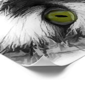 Poster Funny Chat classique (Coin)