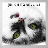 Poster Funny Chat classique (Devant)