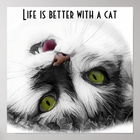 Poster Funny Chat classique (Devant)