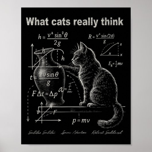 Poster Funny Chat Physique Humour Design Ce que les chats (Devant)