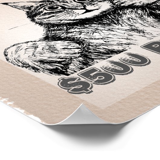 Poster Funny Chat Recherché (Coin)