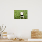 Poster Funny Chihuahua Mustache (Cuisine)