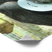 POSTER FUNNY CHIMPANZEE (Coin)