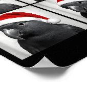 Poster Funny Christmas Eclectus Parrot Santa Photo Booth (Coin)