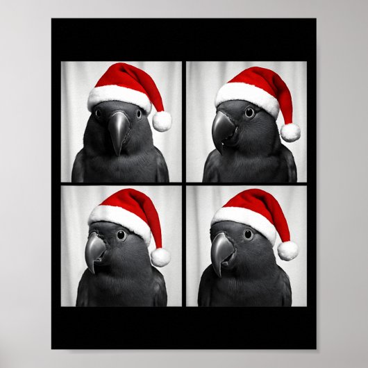 Poster Funny Christmas Eclectus Parrot Santa Photo Booth (Devant)