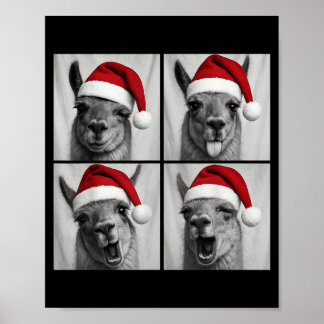 Poster Funny Christmas Llama Santa Photo Booth 