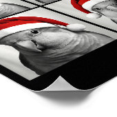 Poster Funny Christmas Quaker Parrot Santa Photo Booth (Coin)