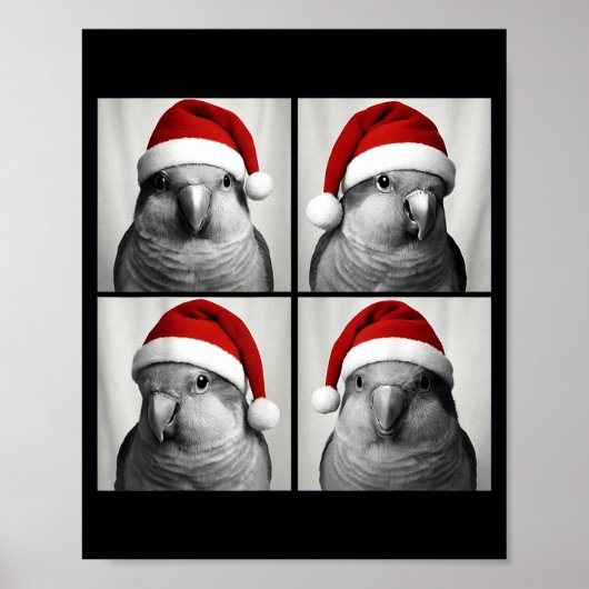 Poster Funny Christmas Quaker Parrot Santa Photo Booth (Devant)
