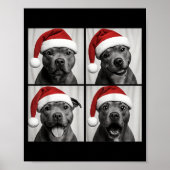 Poster Funny Christmas Staffordshire Bull Terrier Santa P (Devant)