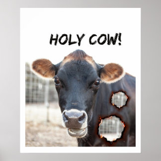 Poster funny cow wall art