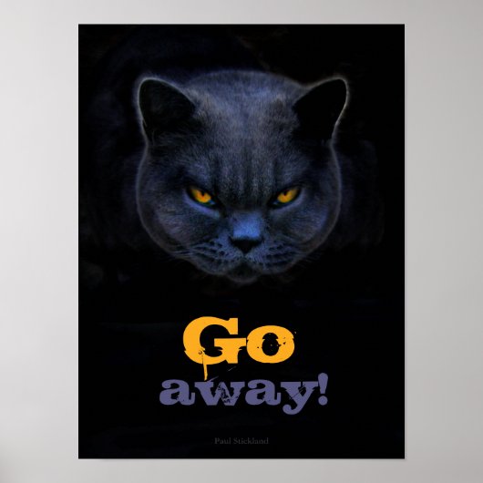 Poster Funny Cross Cat dit Go Away (Devant)