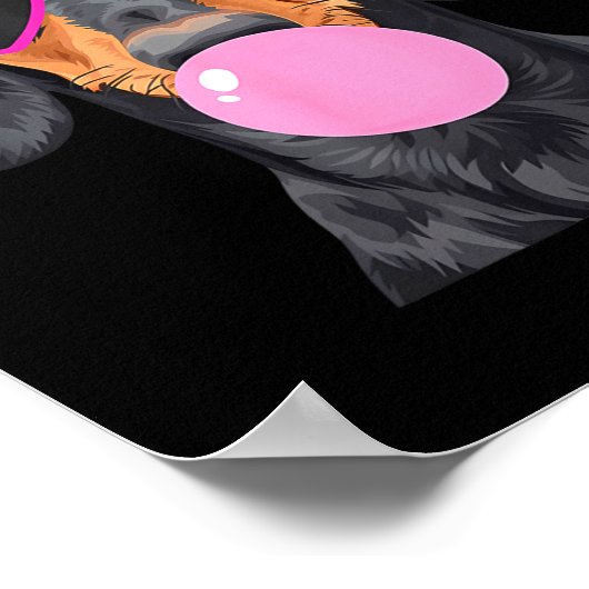 Poster Funny Dachshund Wearing Gles And Blowing Nk Bubble (Coin)