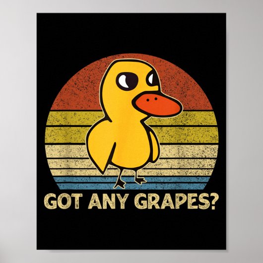 Poster Funny Duck Got Any Gs Graphic Summer Humor Duck Me (Devant)