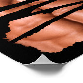 Poster Funny Fake Muscles Fitness Model Chest Six Pack Ab (Coin)