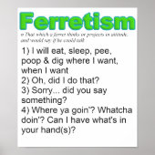 Poster Funny Ferrets (Devant)