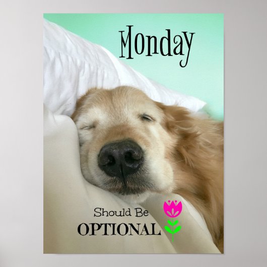 Poster Funny Golden Retriever Monday devrait être faculta (Devant)