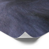 Poster Funny Gorilla (Coin)