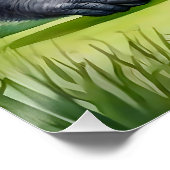 Poster Funny Gorilla dans le Casquette de baseball rouge  (Coin)