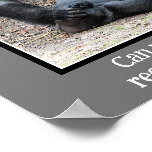 Poster Funny Gorilla, Trop De Week-End (Coin)