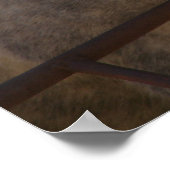 Poster Funny Grey Mare (Coin)