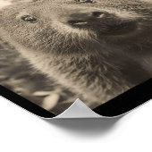 Poster Funny Groundhog Selfie With Ufos Weird Groundhog  (Coin)