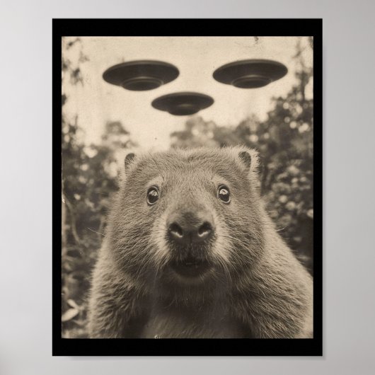 Poster Funny Groundhog Selfie With Ufos Weird Groundhog  (Devant)