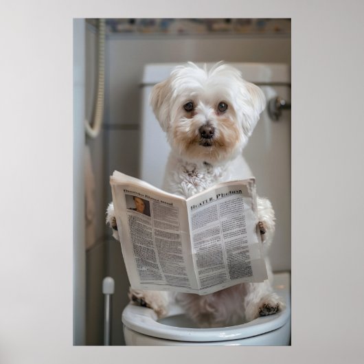 Poster Funny Havanese Dog Print, Bathroom Newspaper Art (Devant)