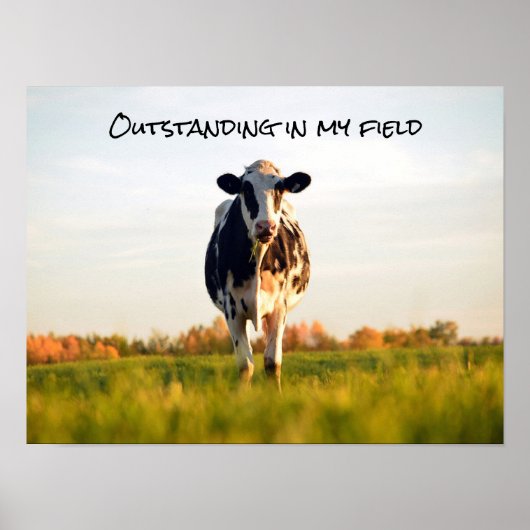 Poster Funny Heifer Extrait dans mon champ (Devant)