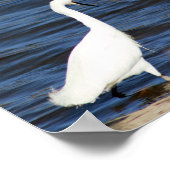 Poster Funny Heron (Coin)