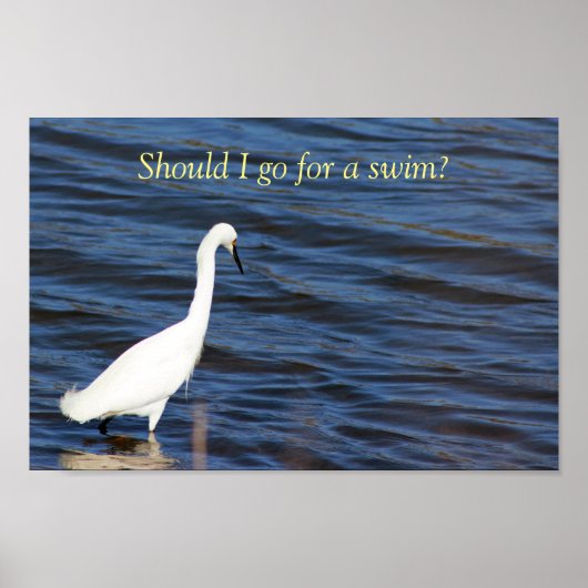 Poster Funny Heron (Devant)