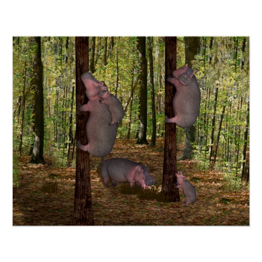 Poster Funny Hippopotames Koala-Wannabe (Devant)