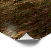 Poster Funny Hippopotames Koala-Wannabe (Coin)