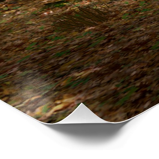 Poster Funny Hippopotames Koala-Wannabe (Coin)