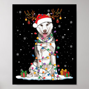 Poster Funny Husky Chien Tree lumières de Noël Jeu de Noë