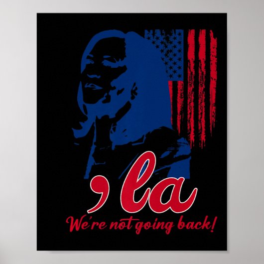 Poster Funny Kamala Harris Nous ne retournons pas drapeau (Devant)