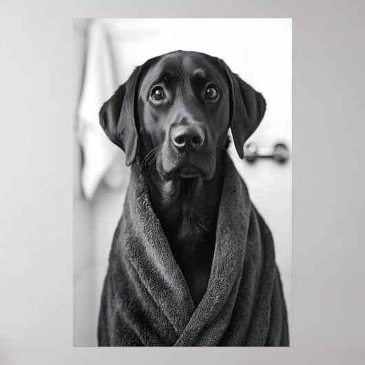 Poster Funny Labrador Bathrobe Print, Bathroom Dog Art (Devant)