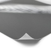 Poster Funny Lizard Toilet Paper Roll Bathroom Print (Coin)